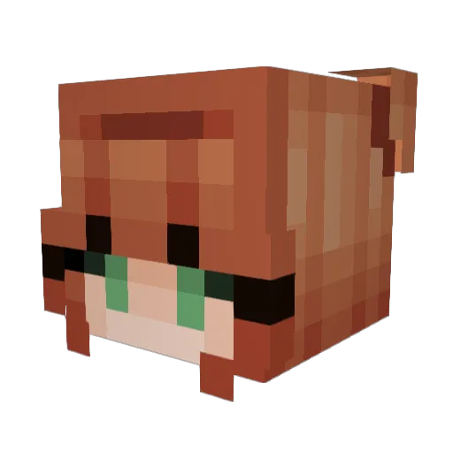 Bethany316 Minecraft avatar head, 3D render