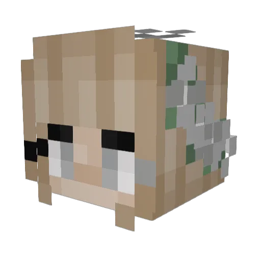 BethanyyHeath Minecraft avatar head, 3D render