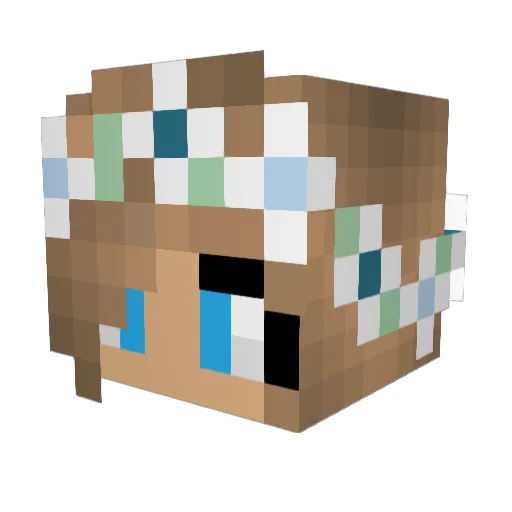 Bethovenas Minecraft avatar head, 3D render