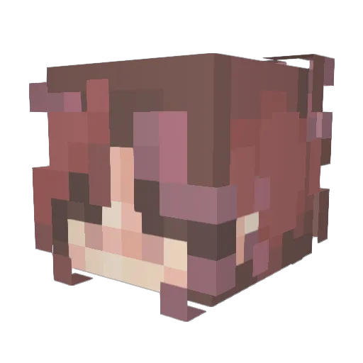 Beto050 Minecraft avatar head, 3D render
