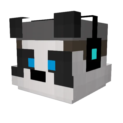 Betorex1 Minecraft avatar head, 3D render