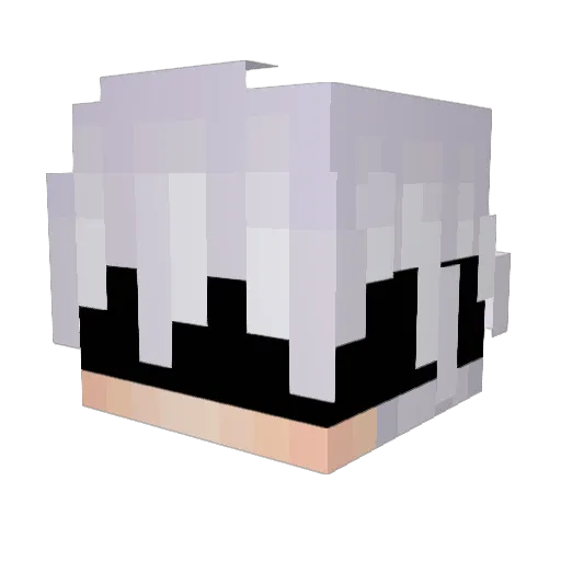 Betotrex5 Minecraft avatar head, 3D render