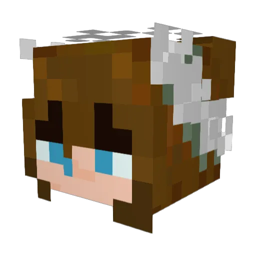 BetsXo Minecraft avatar head, 3D render