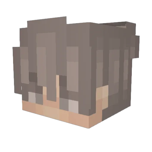 BetterAnPro Minecraft avatar head, 3D render
