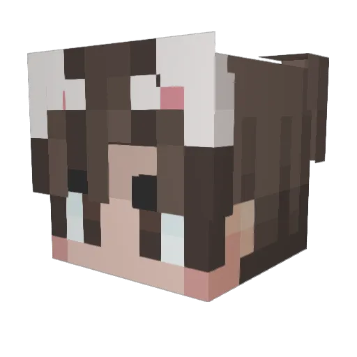 BetterCallMurph Minecraft avatar head, 3D render