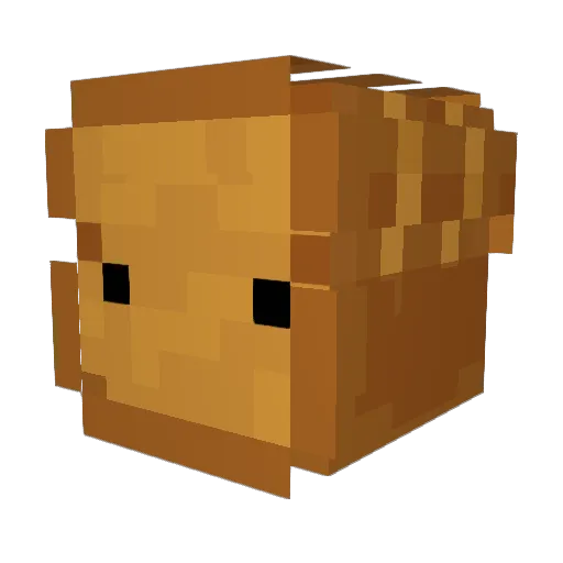 BetterCallToast Minecraft avatar head, 3D render