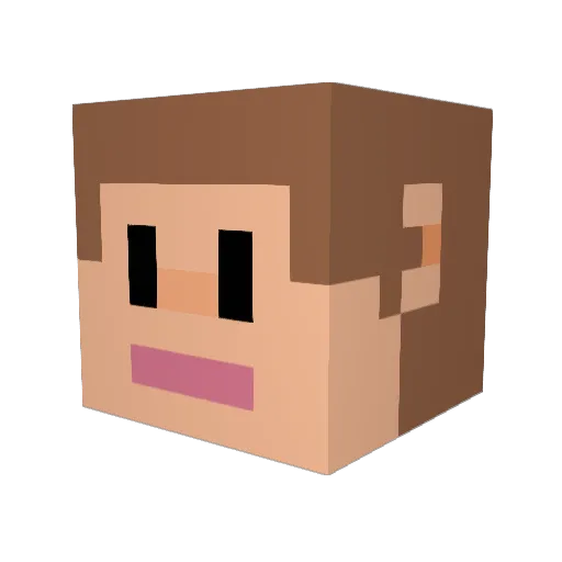 BetterTick Minecraft avatar head, 3D render