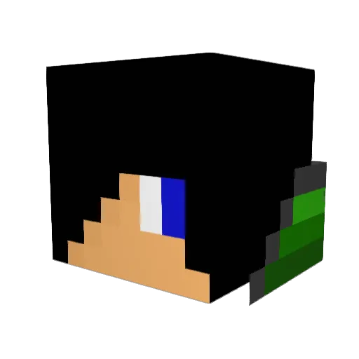 Better_Boy Minecraft avatar head, 3D render