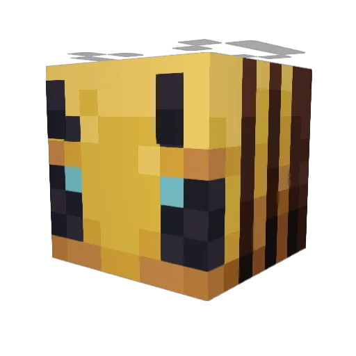 Betterbee12 Minecraft avatar head, 3D render