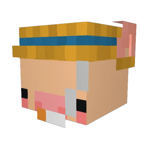 BettyJetson Minecraft avatar head, 3D render