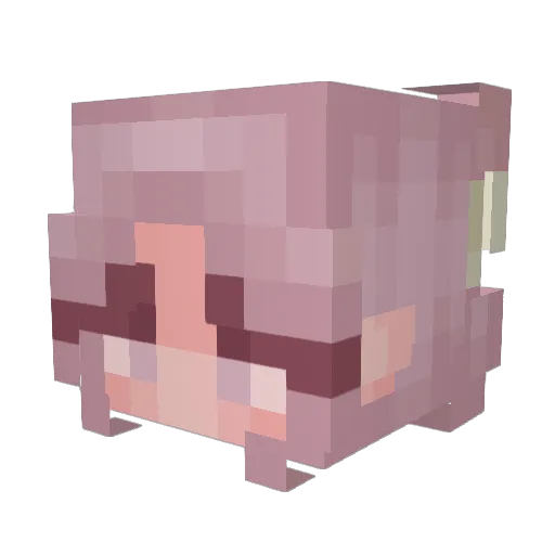 Bety2104 Minecraft avatar head, 3D render