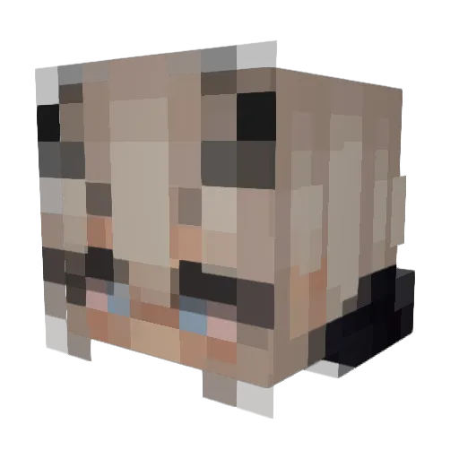 BevBev22 Minecraft avatar head, 3D render