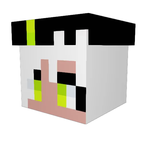 Beven2218 Minecraft avatar head, 3D render