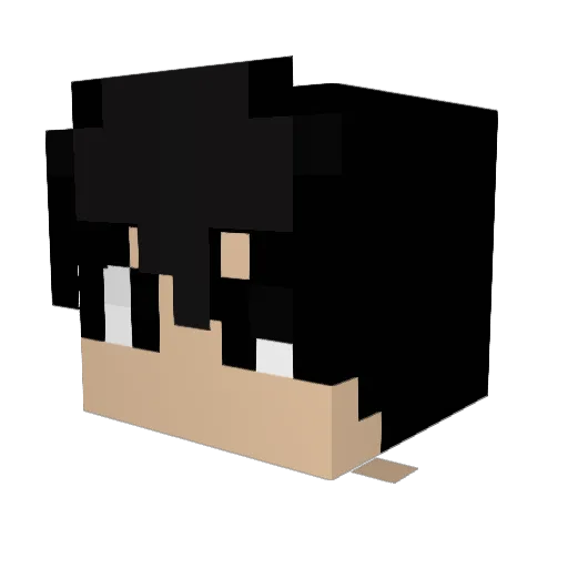 Bevinnnnn Minecraft avatar head, 3D render