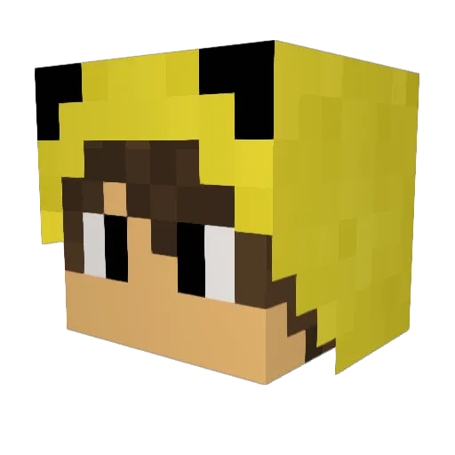Bevroach Minecraft avatar head, 3D render