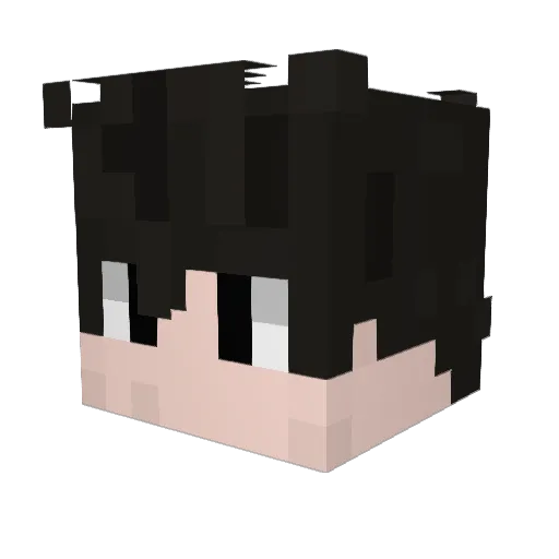 BewTichanon Minecraft avatar head, 3D render