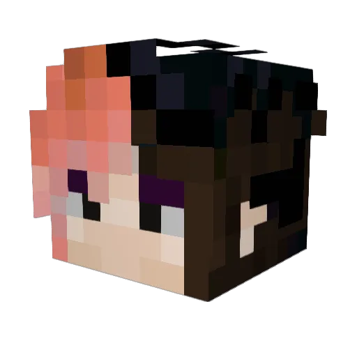 BewareMirror Minecraft avatar head, 3D render