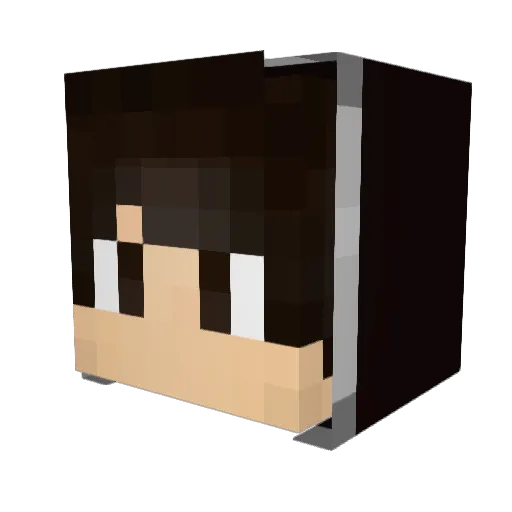 BewareOfMittens Minecraft avatar head, 3D render
