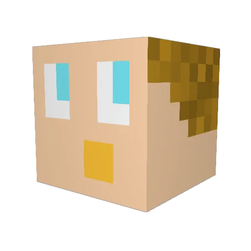 Bewick Minecraft avatar head, 3D render
