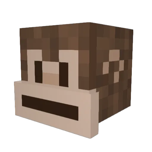 Bewook Minecraft avatar head, 3D render