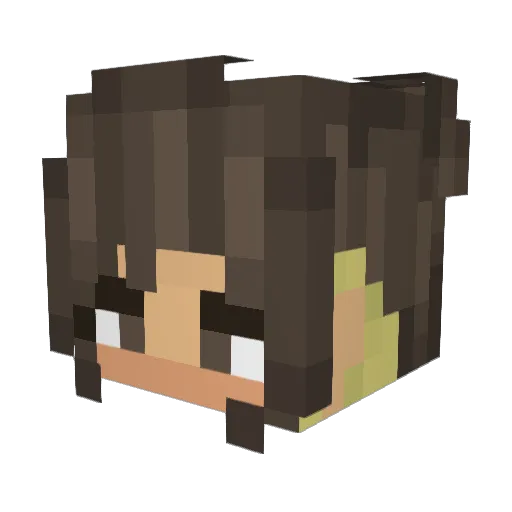 BexBug Minecraft avatar head, 3D render