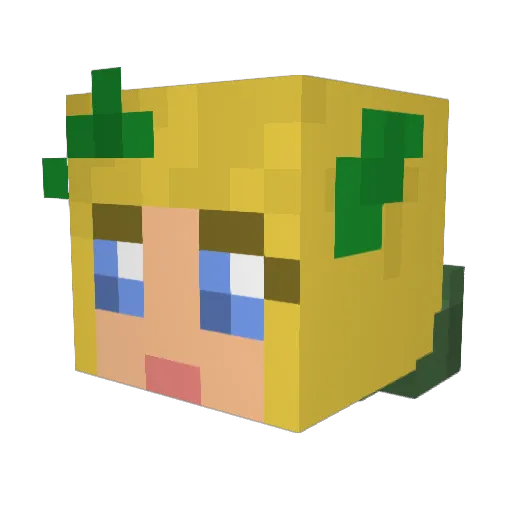 BexxRaff Minecraft avatar head, 3D render