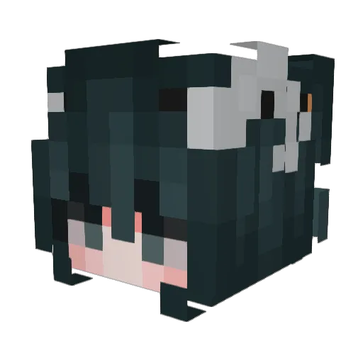 Beyall Minecraft avatar head, 3D render