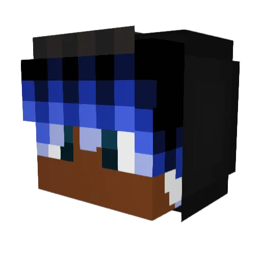 BeyoncesGaySon Minecraft avatar head, 3D render
