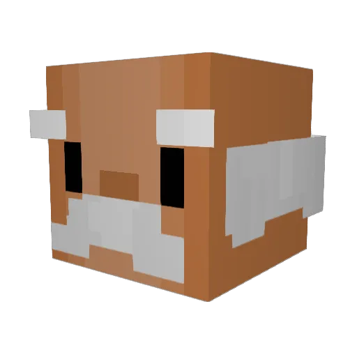 BeyondLeblond Minecraft avatar head, 3D render
