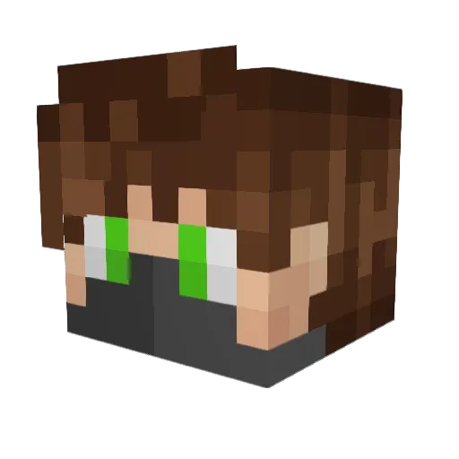 Beyonder8335 Minecraft avatar head, 3D render