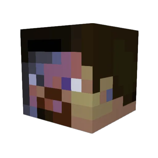 Bezirksamt Minecraft avatar head, 3D render