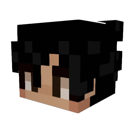 Bezuidenhout_ Minecraft avatar head, 3D render