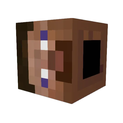 Bfie Minecraft avatar head, 3D render