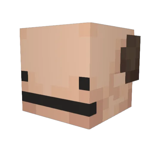Bforse Minecraft avatar head, 3D render