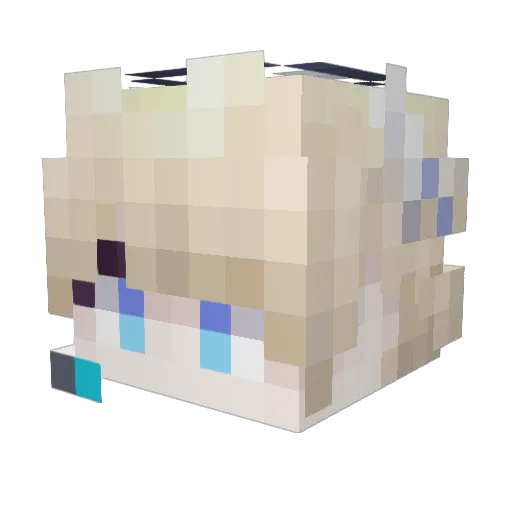 BgSYYY Minecraft avatar head, 3D render