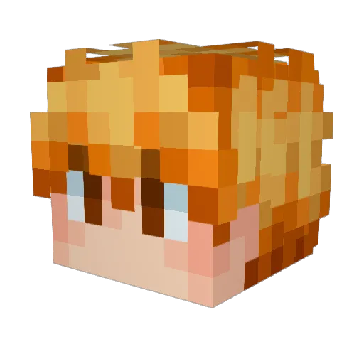 Bgd23 Minecraft avatar head, 3D render