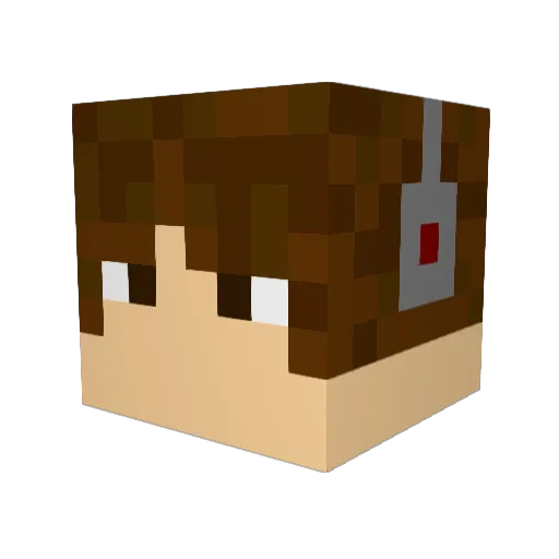 Bgh313 Minecraft avatar head, 3D render