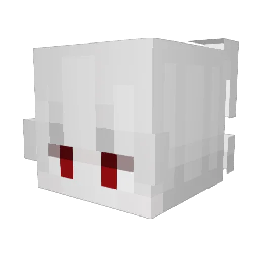 BhaiiWasTaken Minecraft avatar head, 3D render