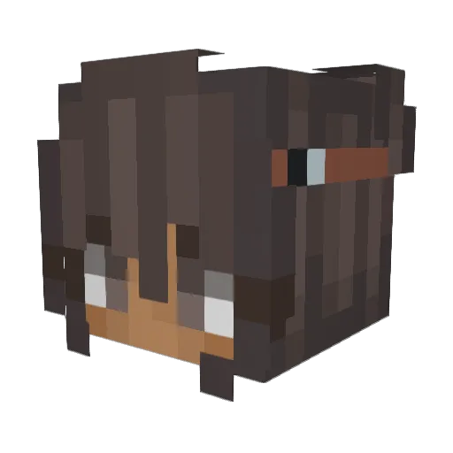 Bharbie Minecraft avatar head, 3D render