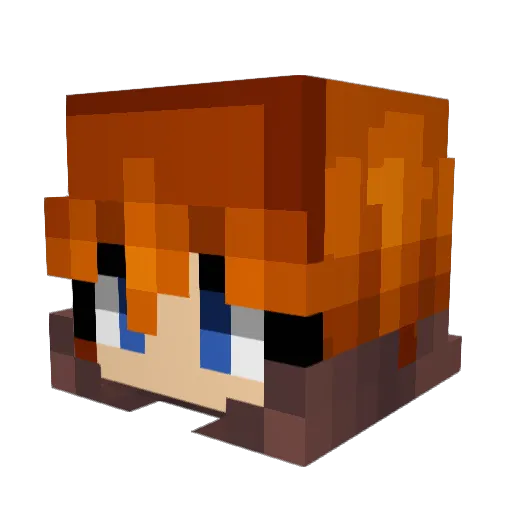 Bhase95 Minecraft avatar head, 3D render