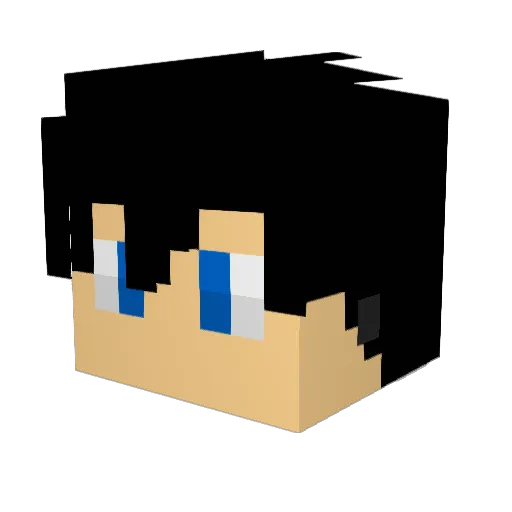 Bhavanna Minecraft avatar head, 3D render