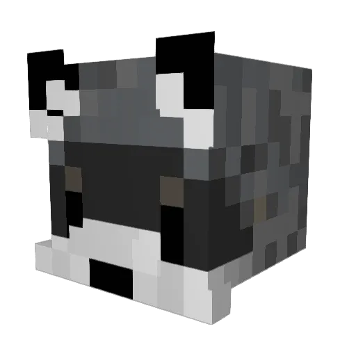 Bhitchu Minecraft avatar head, 3D render