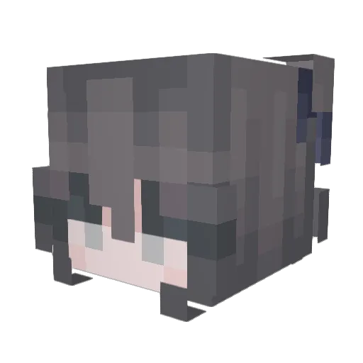 Bhosdiwalah Minecraft avatar head, 3D render