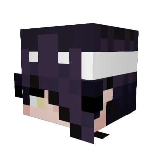 Bi0hazard_ Minecraft avatar head, 3D render
