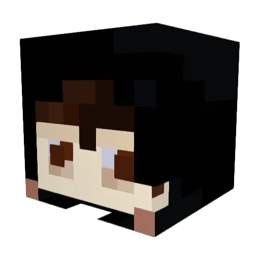 Bi0ry Minecraft avatar head, 3D render