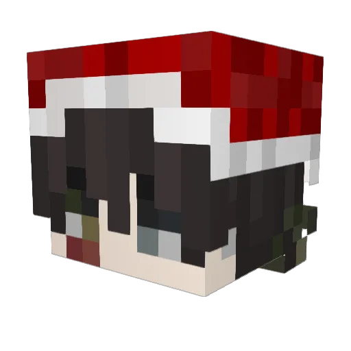 Bi3dnyBogacz Minecraft avatar head, 3D render