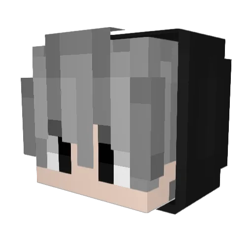 Bi3lV5 Minecraft avatar head, 3D render