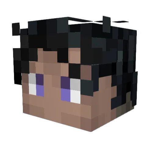 Bi773H Minecraft avatar head, 3D render