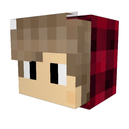 BiDDo88 Minecraft avatar head, 3D render