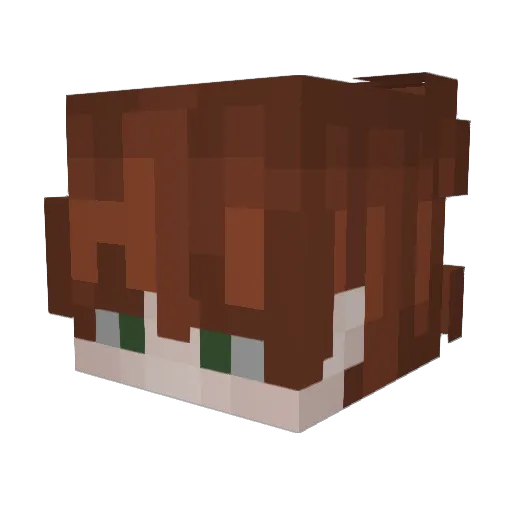BiFrogos Minecraft avatar head, 3D render